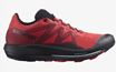 Picture of SALOMON PULSAR TRAIL POPPY RED/BIRD/BLACK